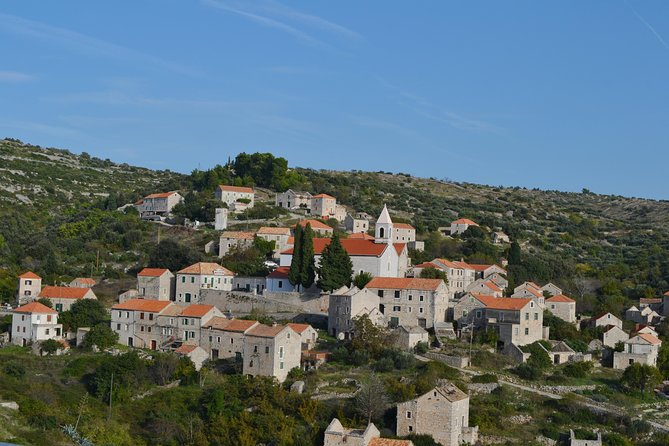 Private Hvar Island Tour and Olive Oil Tasting - Lavender fields and viewpoints that actually change the mood