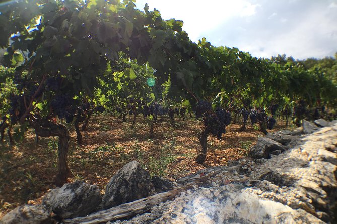 Private Hvar Wine Tasting Tour - Hvar Point, highest views, and why the timing matters