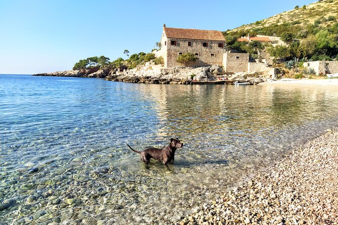 Private Speed Boat Tour of Hvar South Shore & Pakleni islands - The Captain Factor: Nicolai and Johnny (Marino) Set the Tone