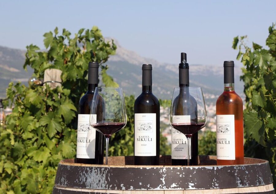 Private Split & Trogir Wine Tasting & Vineyard with Sea View - Timing, Transfers, and Small Friction Points to Plan For