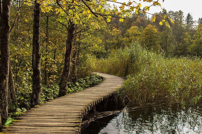 Private Tour to Plitvice Lakes National Park from Split - Trails, Time, and Crowds: How to Get the Best Flow