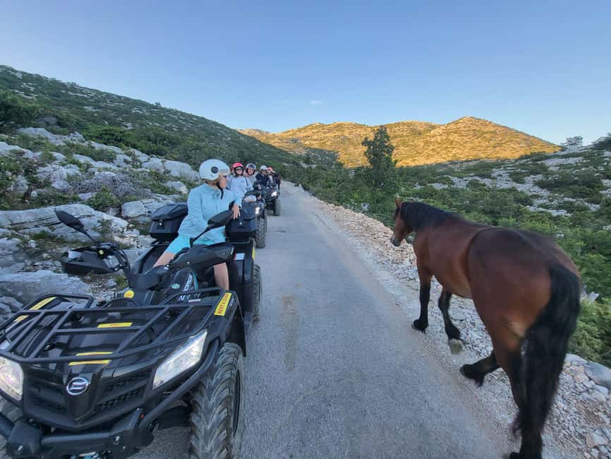 Quad tour to Biokovo Skywalk - Quad driving basics: licence, comfort, and what the group setup means