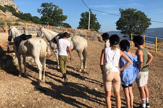 Ranch 22 Podstrana, " Horse riding 12 km from SPLIT " - The Best Part: Perun Views Over Islands and the Split Coastline