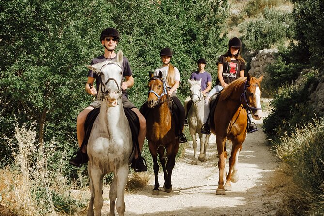 Ranch 22 Podstrana, " Horse riding 12 km from SPLIT " - Getting There: Podstrana Meeting Point and Transfer Options