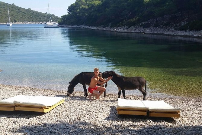 Red Rocks & Southern Side Of Hvar Private Tour - Key things that make this tour worth your time