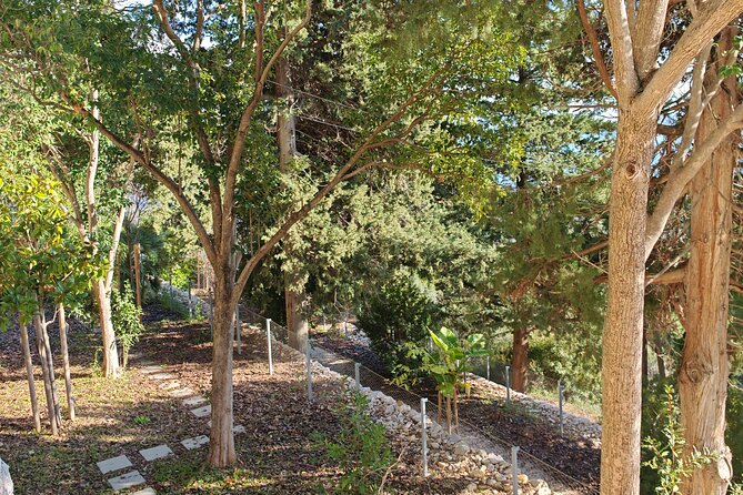 Secret Marjan Park Hiking Tour in Split - Matejuska Fishermen’s Port Finish: The Photo Stop That Frames the Palace