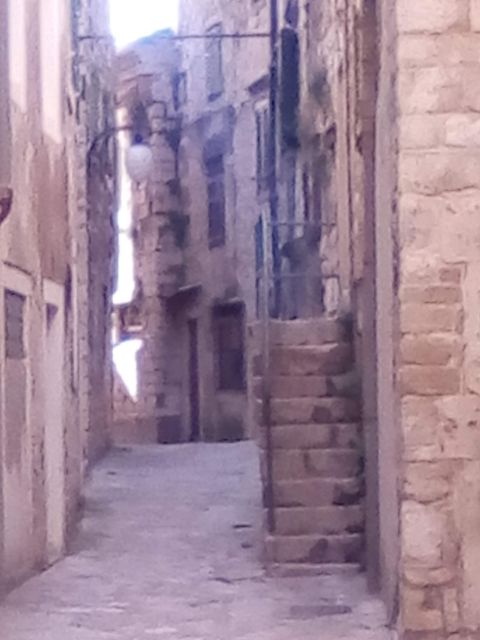 Šibenik walking tour in one hour! - Inside the Cathedral of St. James: entrance ticket included