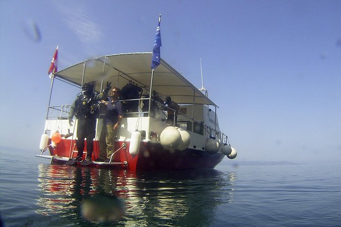Snorkeling tour Makarska Riviera, islands of Hvar or Brač - Makarska Riviera Snorkeling That Keeps Things Small