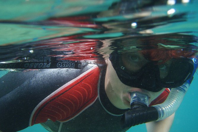 Snorkeling tour Makarska Riviera, islands of Hvar or Brač - Boat Day Logistics: Max 12, Plus You Swim With A Partner