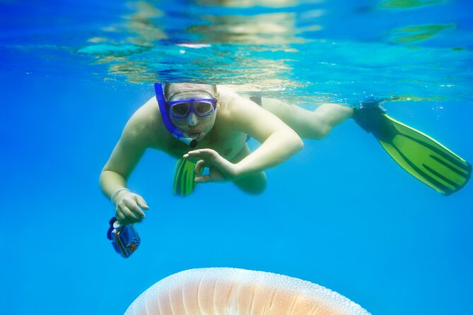 Snorkeling tour Makarska Riviera, islands of Hvar or Brač - Equipment, Water Time, And The Fitness Reality Check