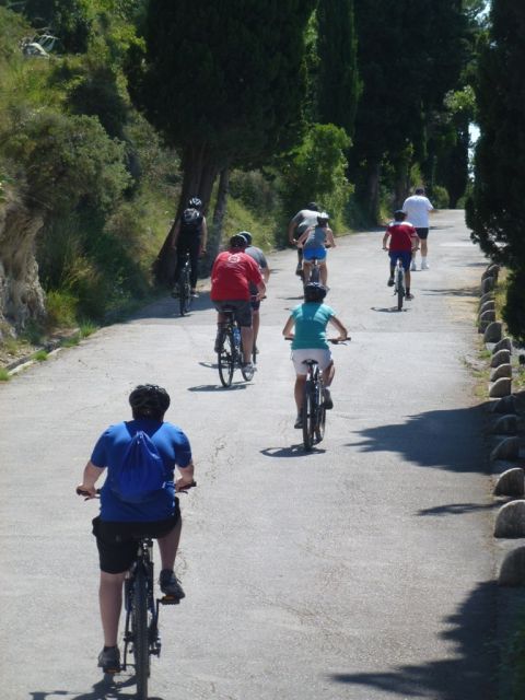 Split 3-Hour Guided Bike Tour - Marjan Hill: Pine Shade, Marina Views, and That First Real Climb