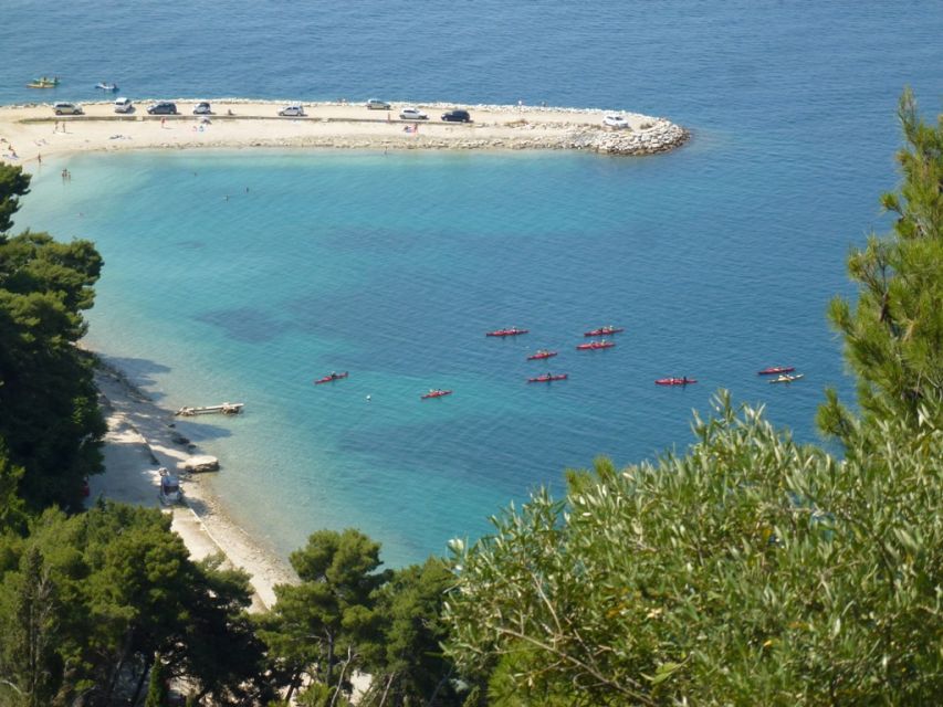 Split 4-Hour Guided Sea Kayak Tour - Price, Fitness, and What to Bring for Comfort