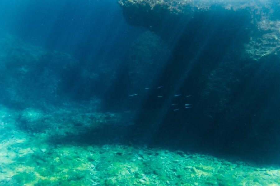 Split: 45-minute Semi-Submersible Submarine Trip - Price and value: what $20 buys you in real terms