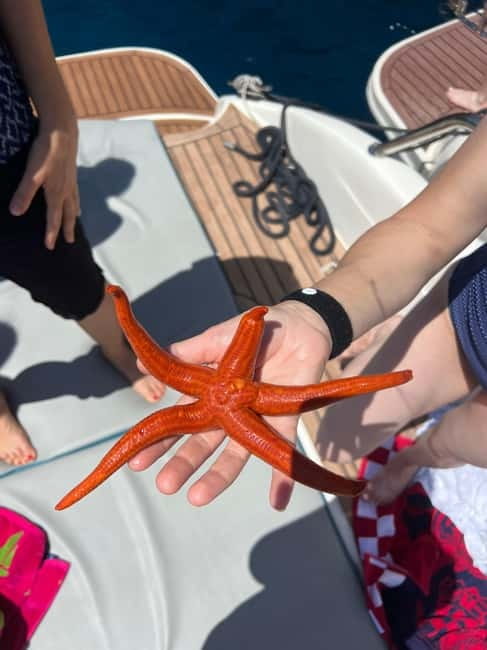Split: 5 Islands Full-Day Tour to Blue Cave, Vis & Hvar - Key Takeaways Before You Go