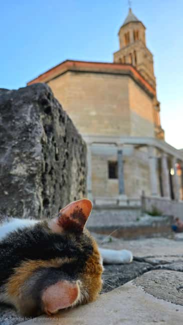 Split and Diocletian's Palace walking tour with a local guid - Meeting at the Southern Seaside Entrance by the Riva