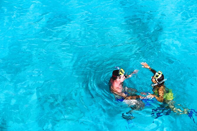 Split: Blue Lagoon & 3 Islands Speedboat Tour - Small group - Šolta Island stop: Maslinica village or Labadusa Beach, your season choice