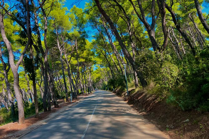 Split by Private Electric Rickshaw - Palace & Hidden Gems - Harbor photos, Zvončac Park, and Sustipan for breathing room