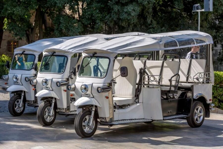 Split: City Highlights Electric Tuk-Tuk Tour - Sustipan Park, Prokorative Square, and Riva at the End