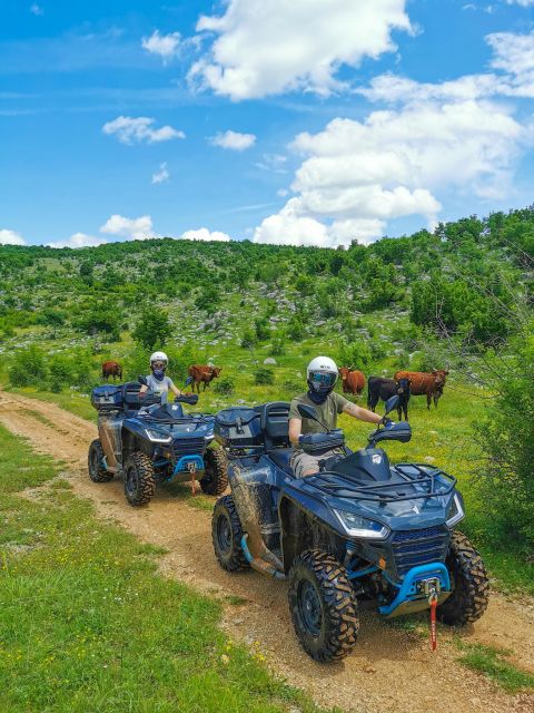 Split: Dalmatian Quad Tour with River Swimming & Picnic - From Split to Asteria Adventures base camp, fast check-in