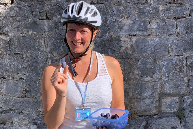 Split E-bike tour - Riva Harbor and Diocletian palace southern walls