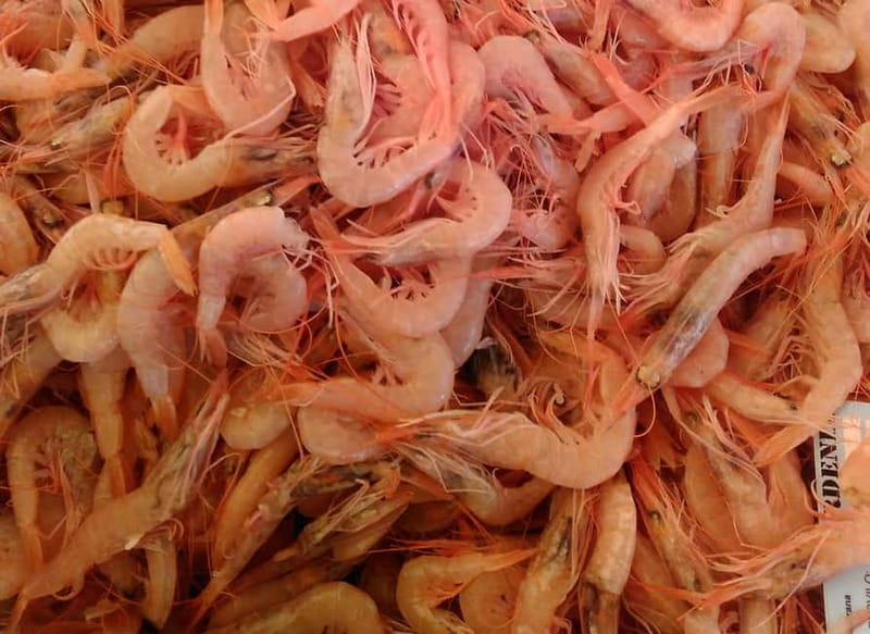 Split: Food Tasting Walking Tour - What the Traditional Recipes Are For (And How to Use Them)