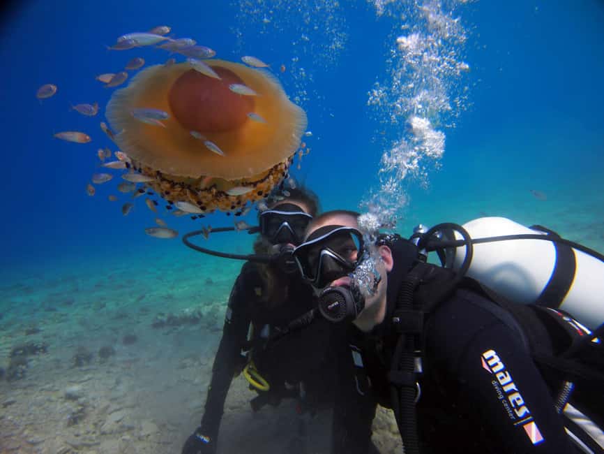 Split-Makarska-Brela Try SCUBA Dive - Key points to know before you book