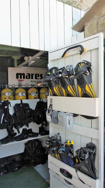 Split-Makarska-Brela Try SCUBA Dive - Photos and videos on Google Drive in 2 days