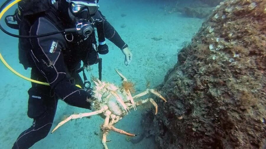 Split-Makarska-Brela Try SCUBA Dive - Timing that works if you are already on the Makarska Riviera