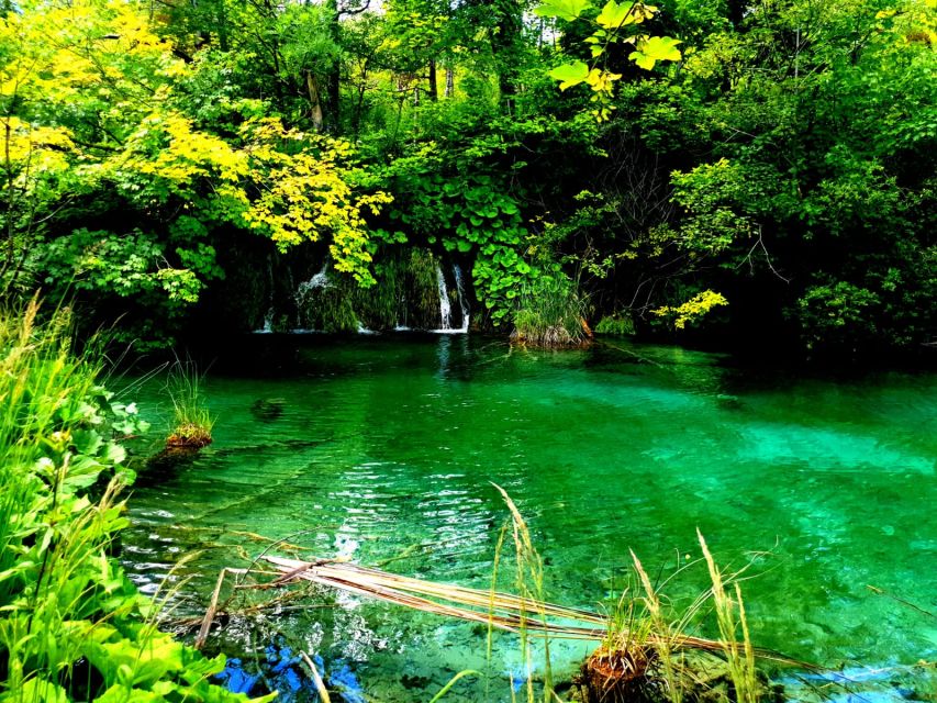 Split: Plitvice Lakes Guided Day Tour with Entry Tickets - The Lower Lakes with the included boat ride