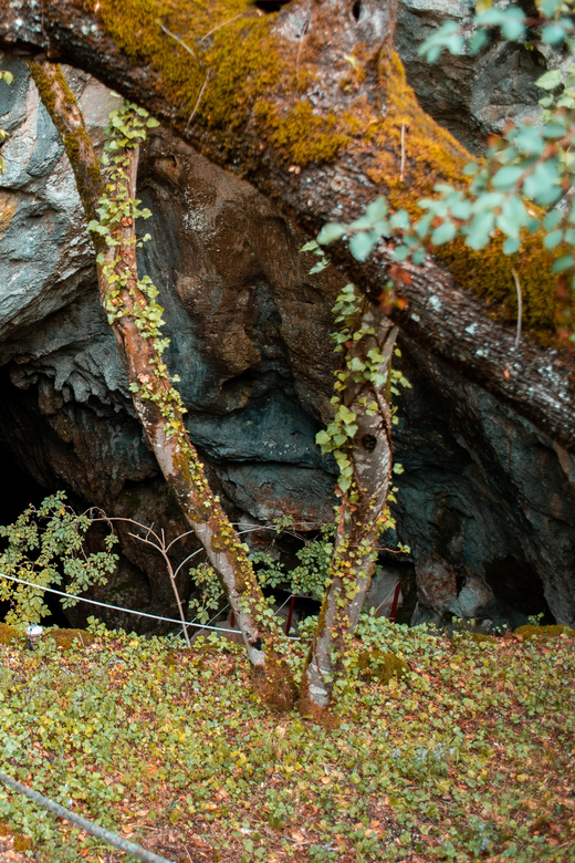 Split: Private tour to Klis Fortress and Vranjača cave - Stella Croatica Ethno-Agro Park: olive culture, plant-based products, and a tasting you’ll actually use