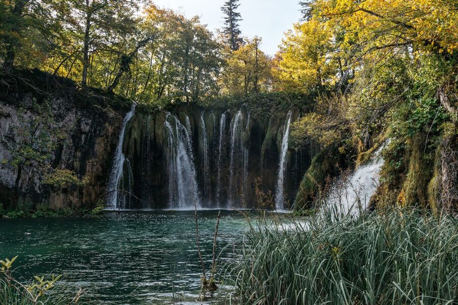 Split: Self-Guided Plitvice Lakes Day Tour with Boat Ride - Electric train in the forest: comfort when you want the scenery, not the stairs