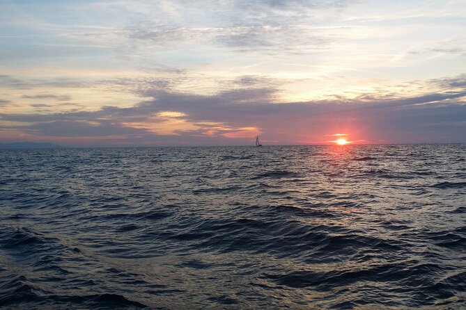 Split: Small-Group Half Day Sailing Trip - What you are really buying is a calm, curated half-day