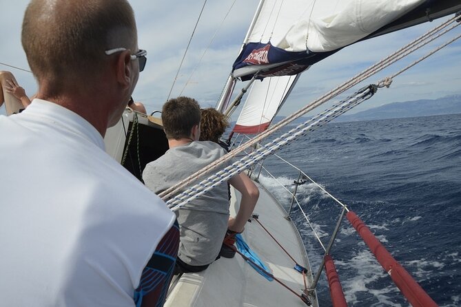 Split: Small-Group Half Day Sailing Trip - Meeting point, timing, and how the day stays easy