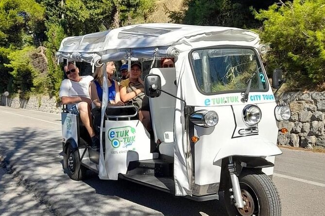 Split Tour by Electric Tuk-Tuk: Top City Highlights - Sustipan, plus the museum and gallery stops that add depth