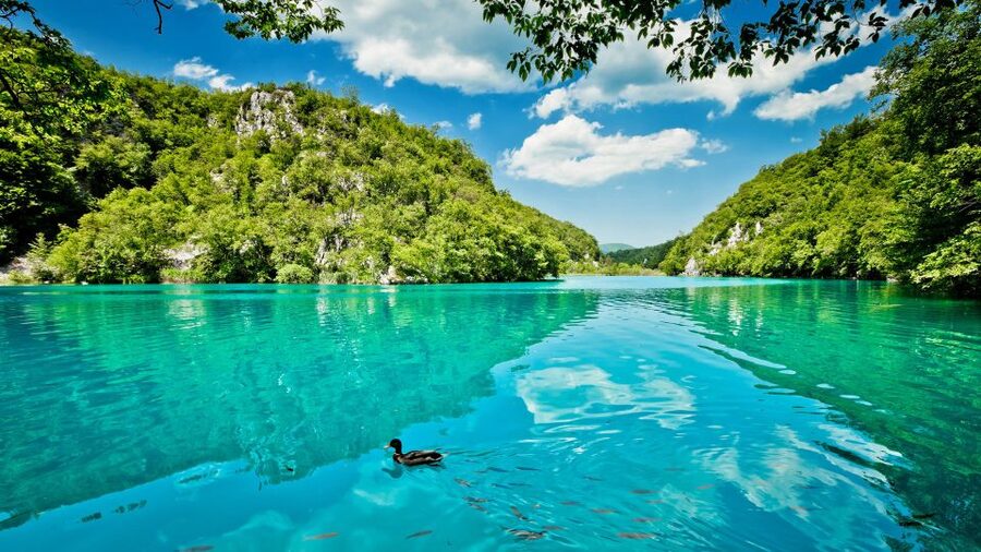 Split: Transfer to Zagreb with Plitvice Lakes Entry Tickets - The boat ride and panoramic train ride: saving your legs without losing the views