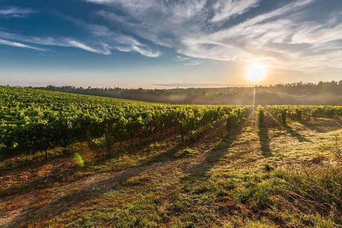 Split/Trogir/Kastela: Krka Private Tour - option: Wine Tasting - Price and value: what you pay, what you’ll likely add