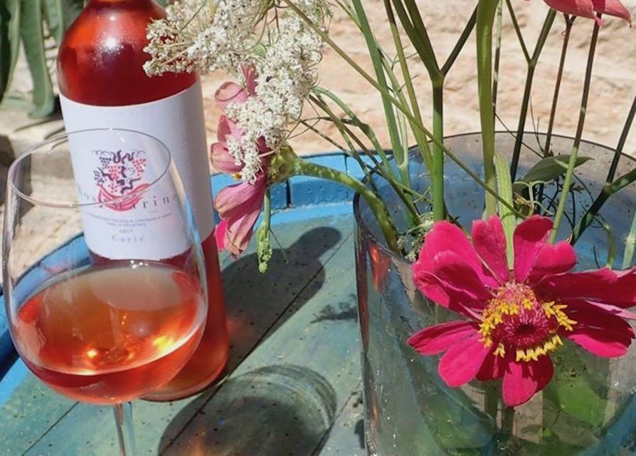 The Best of Hvar in a Day with Wine tasting and Local Dinner - Should you book the Best of Hvar in a Day tour?