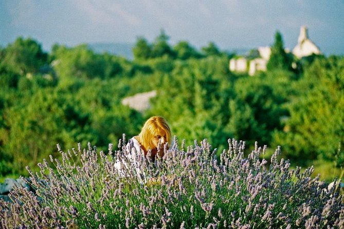 The Best of Hvar Small Group with Wine Tasting and Local meal - Wine tasting at Tomić or Carić, in a real vineyard setting