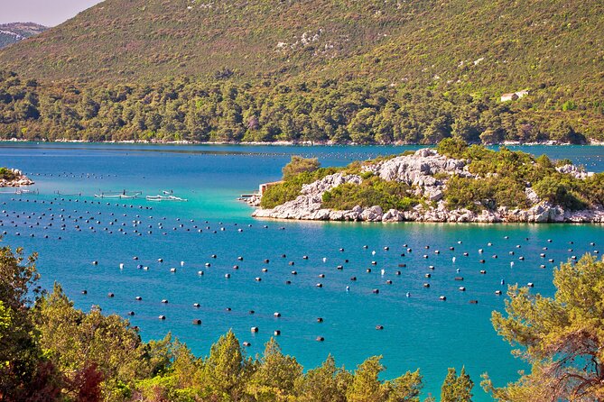 Transfer Split to Dubrovnik with Sightseeing in Ston Town - The ride setup that keeps the stress low