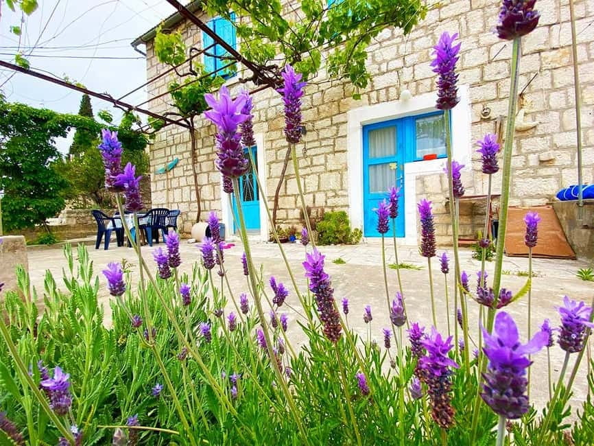 Trogir: Blue Lagoon, Maslinica, and Solinska Bay Boat Tour - Food, drinks, and packing choices you’ll want to get right