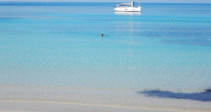 Trogir: White Lagoon, Maslinica & Blue Lagoon Speedboat Tour - The route and timing: how the 8 hours actually flow