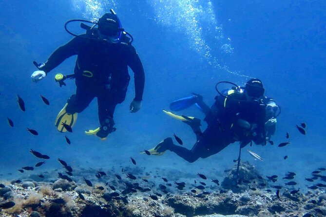 Try Scuba Diving in Split - Key things to know before you go