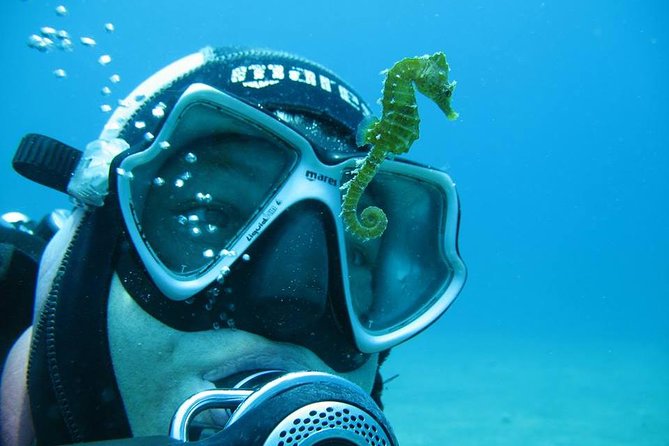 Try Scuba Diving in Split - Price and value: what you are really paying for