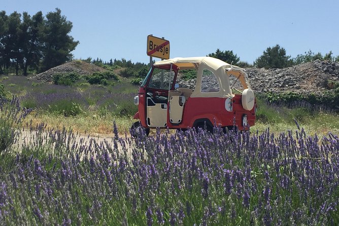 Tuk Tuk Sightseeing Tour of Hvar - Key things you will notice on this Hvar tuk tuk ride