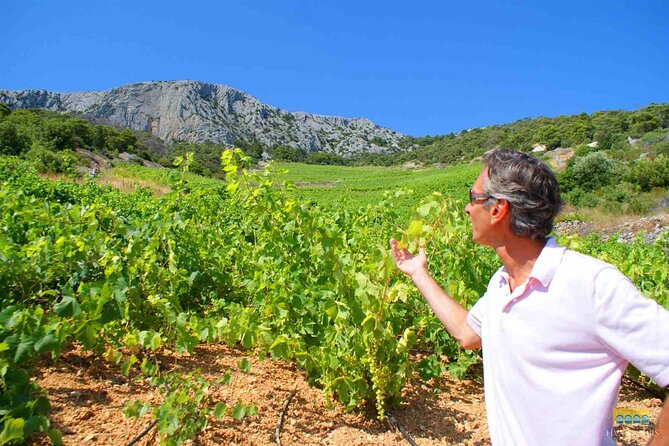 Twice the Wine - Two wineries half day tour, with delicacies - A half-day wine plan that actually leaves you time for Hvar