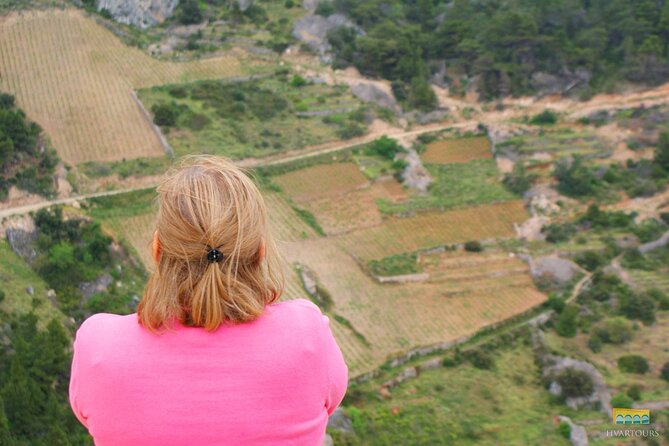 Twice the Wine - Two wineries half day tour, with delicacies - How to get the best out of the tour in real life