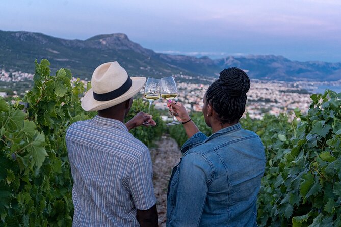 Vineyard Experience: Wine Tasting near Split - Key Highlights You Should Know Before You Go