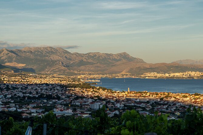Vineyard Experience: Wine Tasting near Split - At the Family Vineyard: Five Wines, Cheese and Prosciutto, Sea-View Terrace