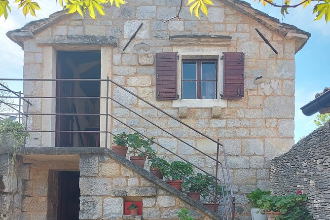 Visit Ancient Salona, Mighty Klis Fortress and Stella Croatica - Stella Croatica Ethno Agro Park: olives, figs, and how the farm works