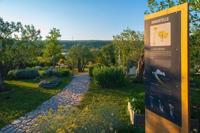 Visit Klis fortress GOT & Olive museum Klis - The walk or ride between venues: keeping it simple in Klis
